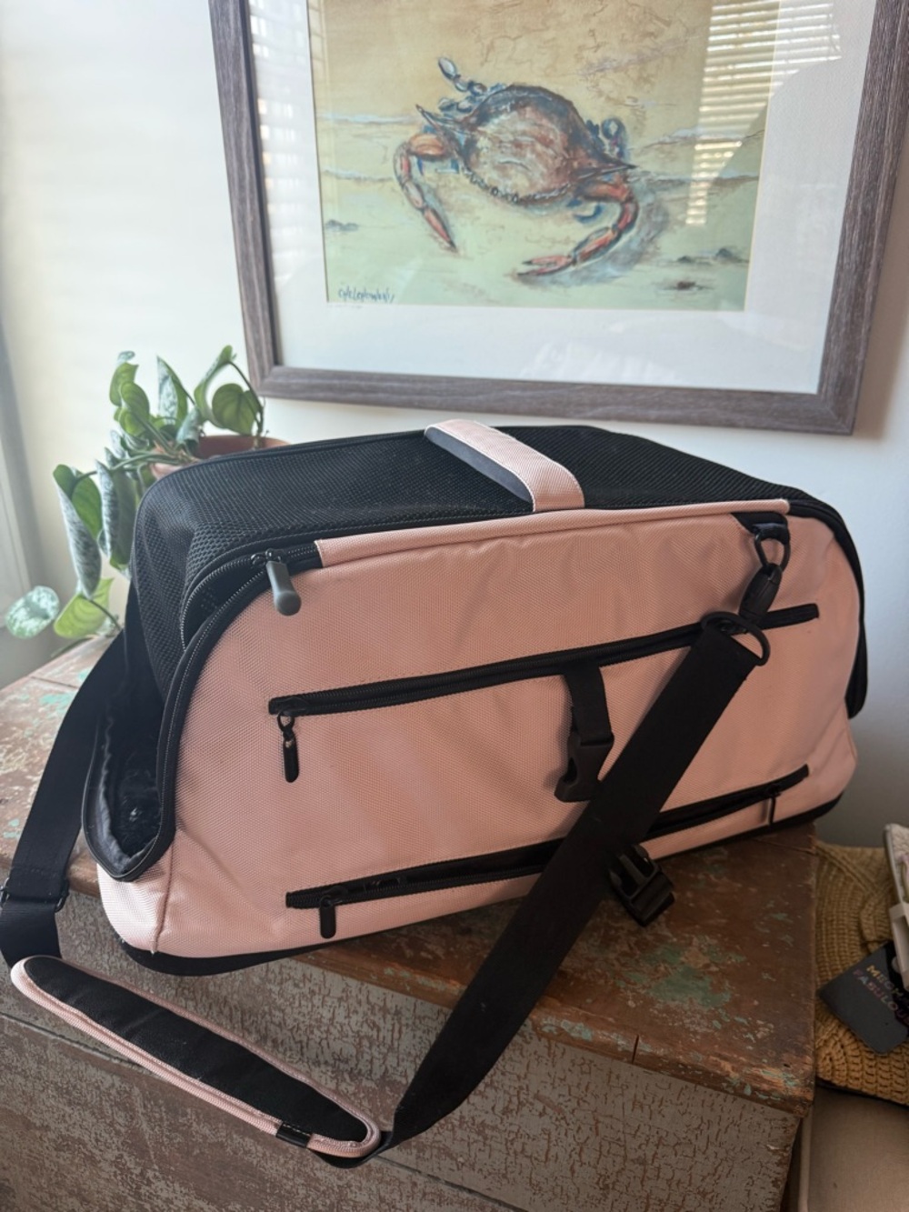 Sleepypod Air Pet Carrier - Airplane compliant - Picture 9 of 9